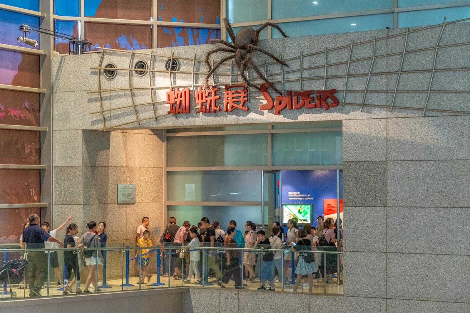 上海科技馆