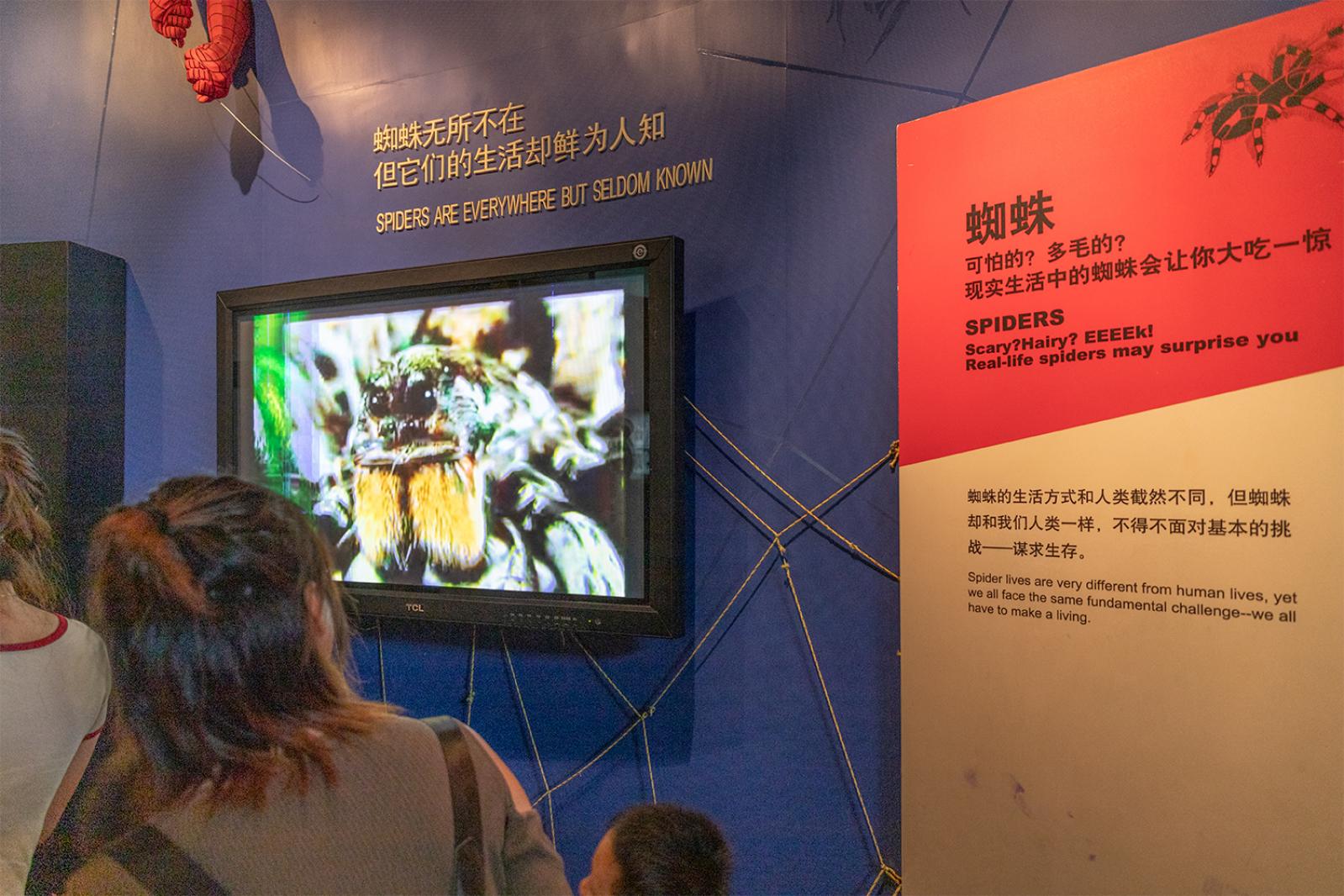 上海科技馆