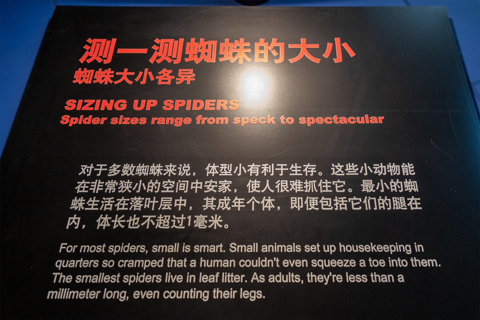 上海科技馆
