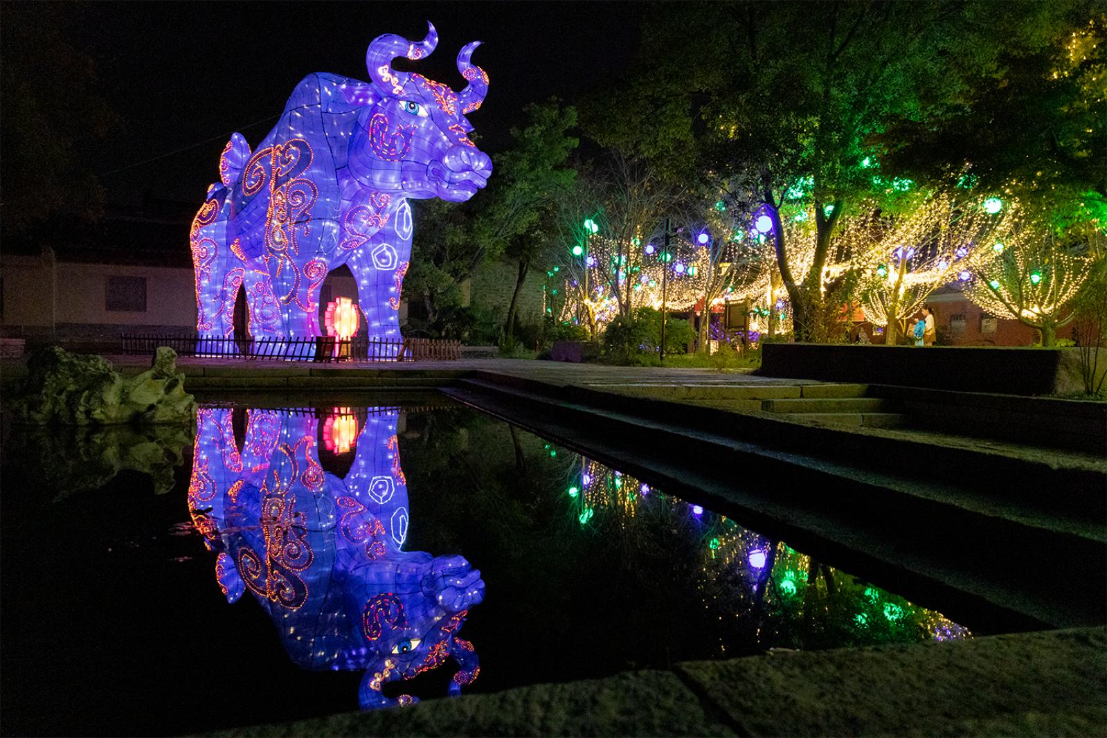 广富林灯会
