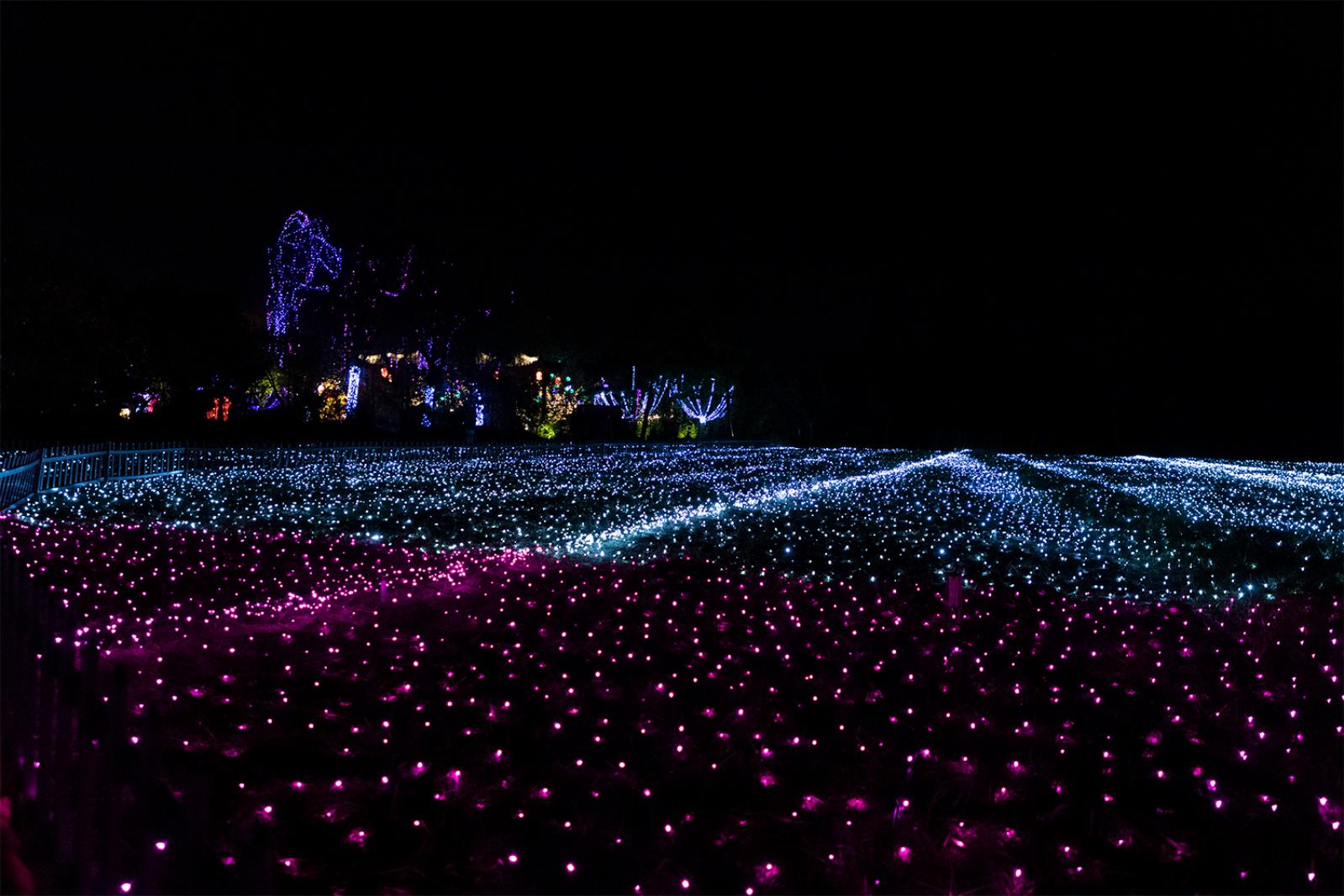 广富林灯会
