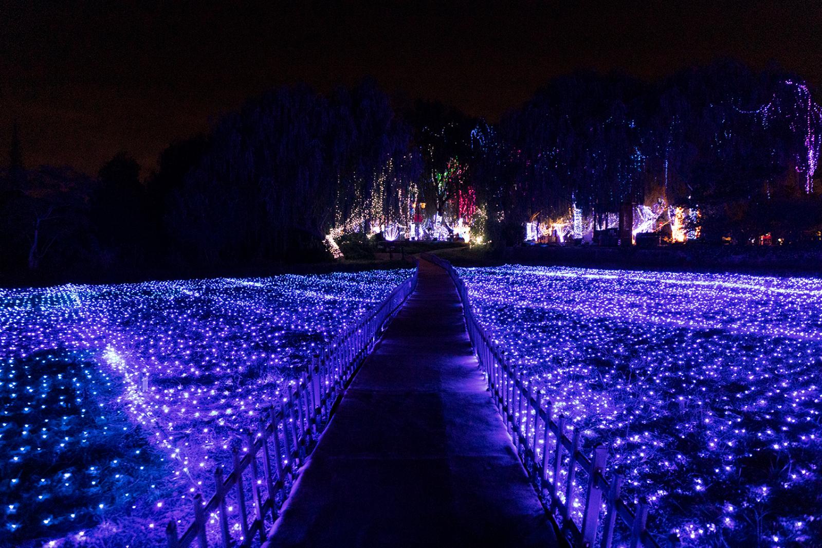 广富林灯会