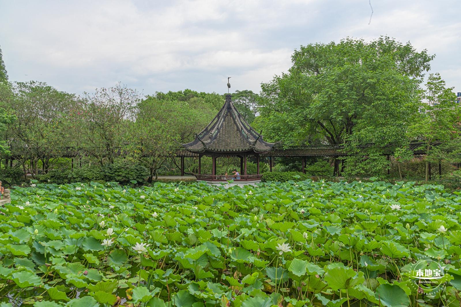醉白池