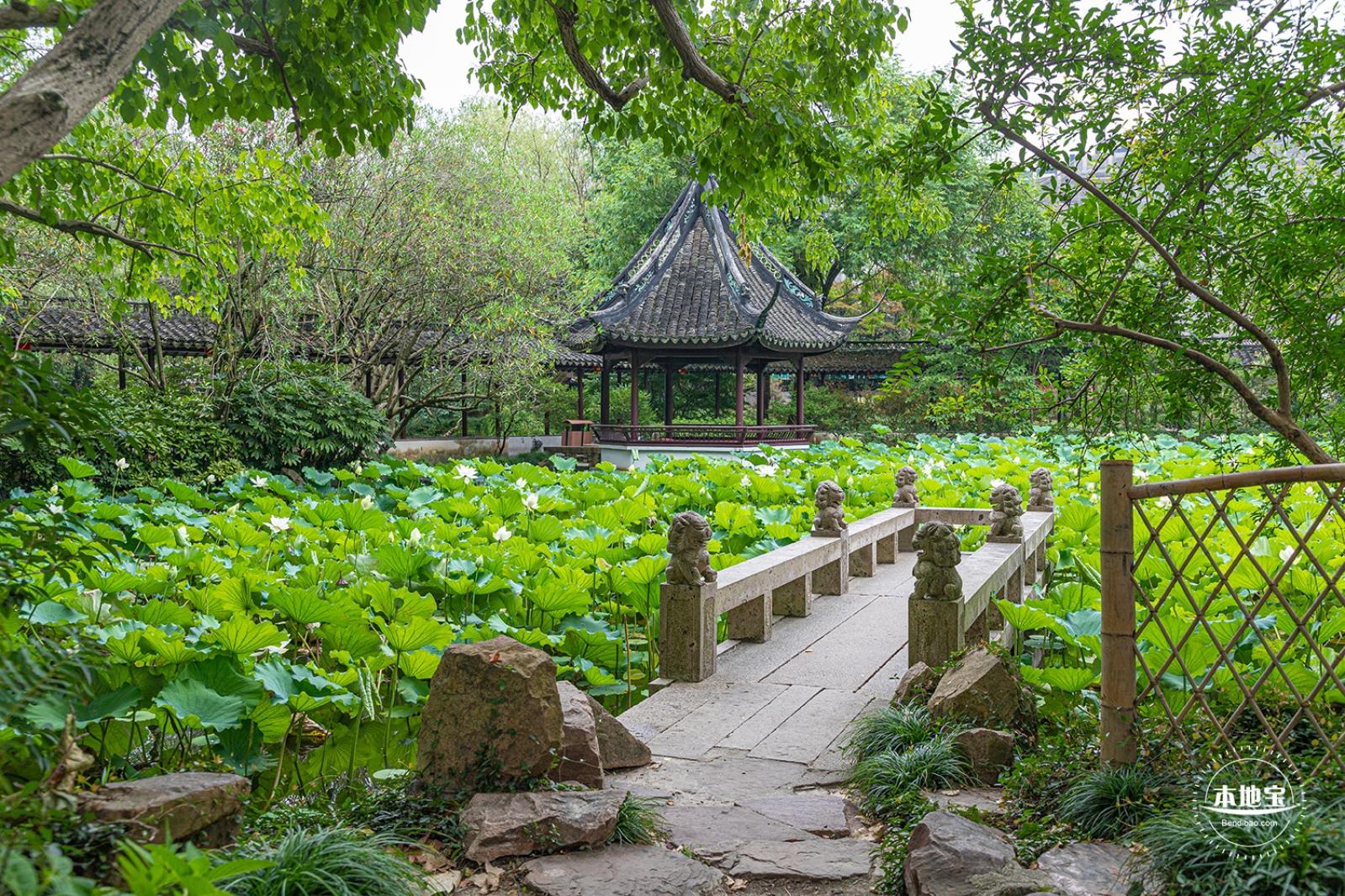 醉白池