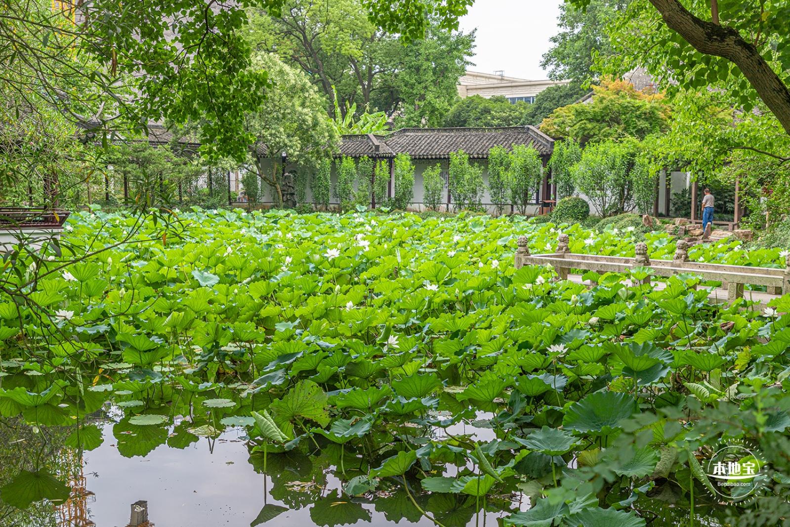 醉白池