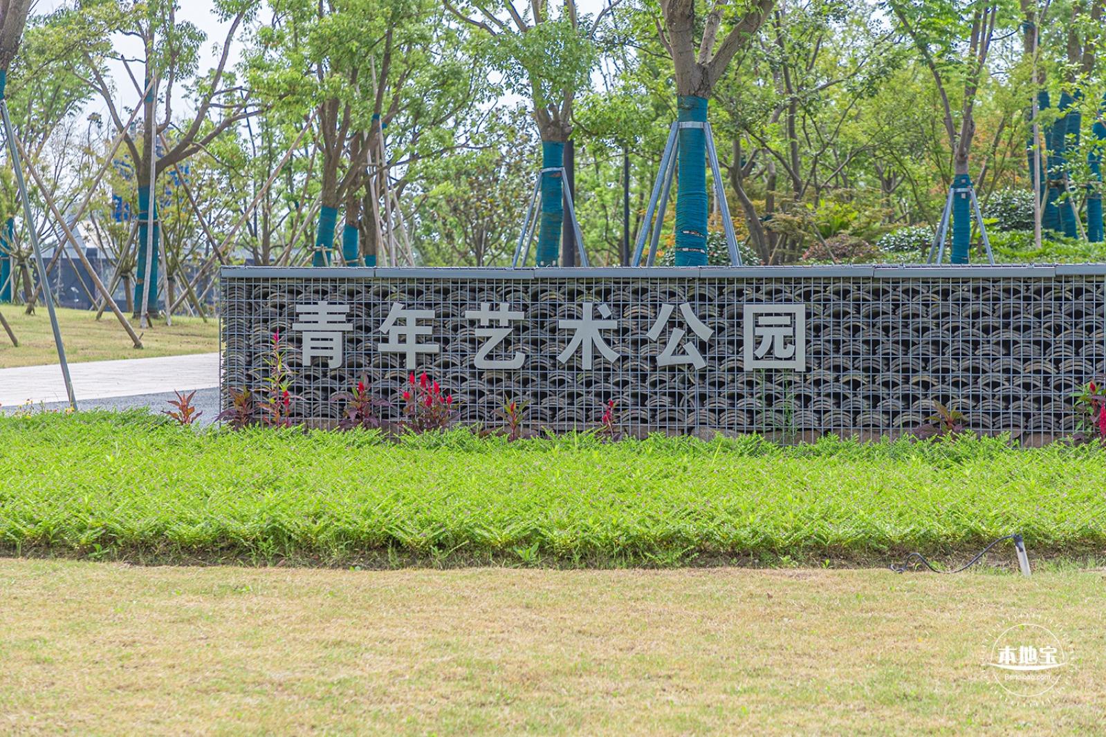 上海之鱼