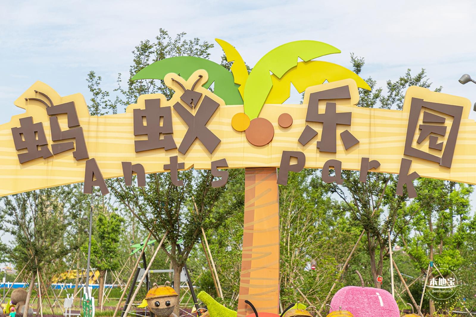 上海之鱼