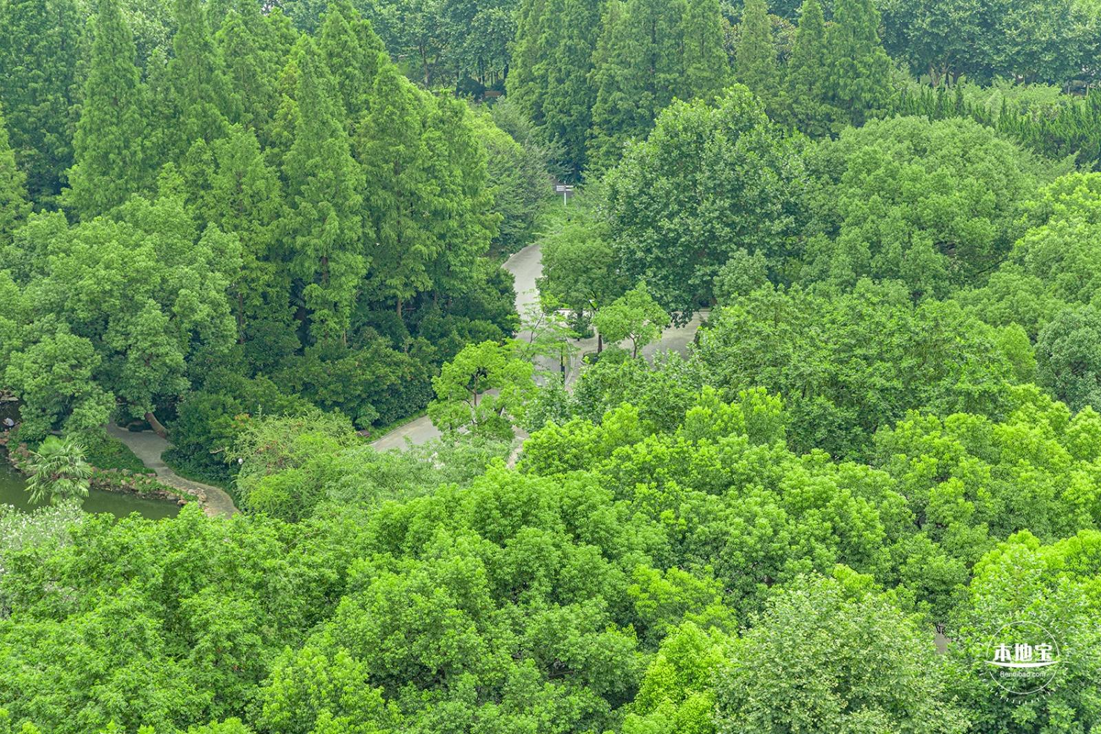 长风公园