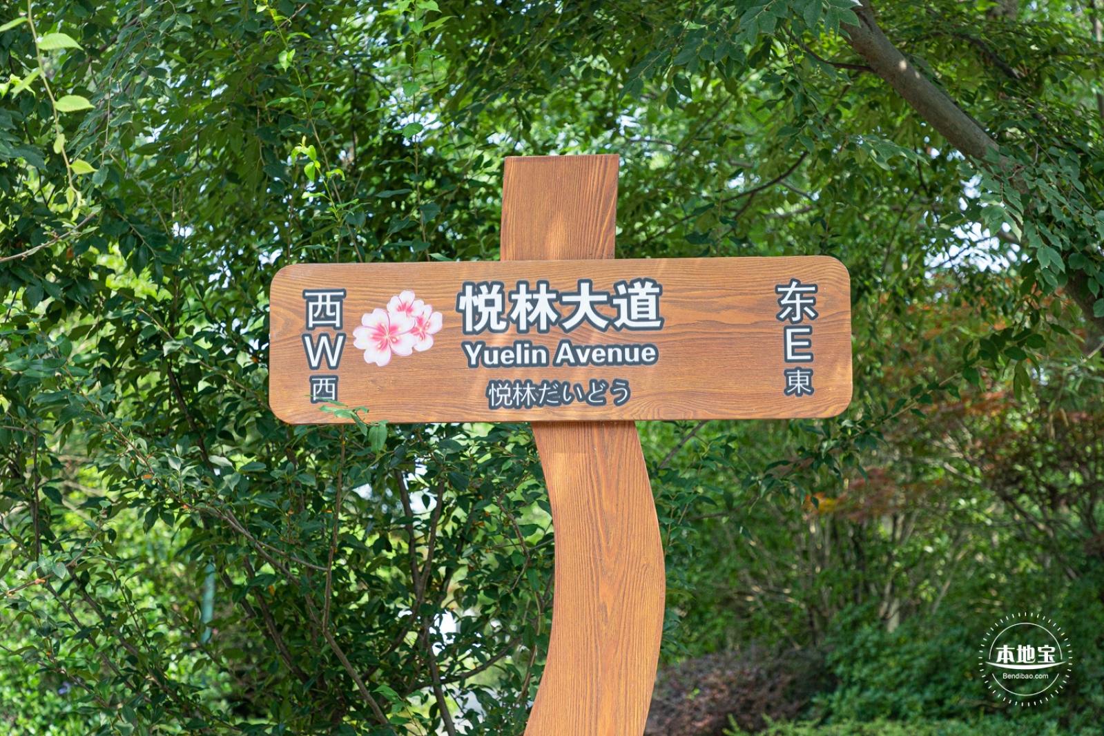 顾村公园