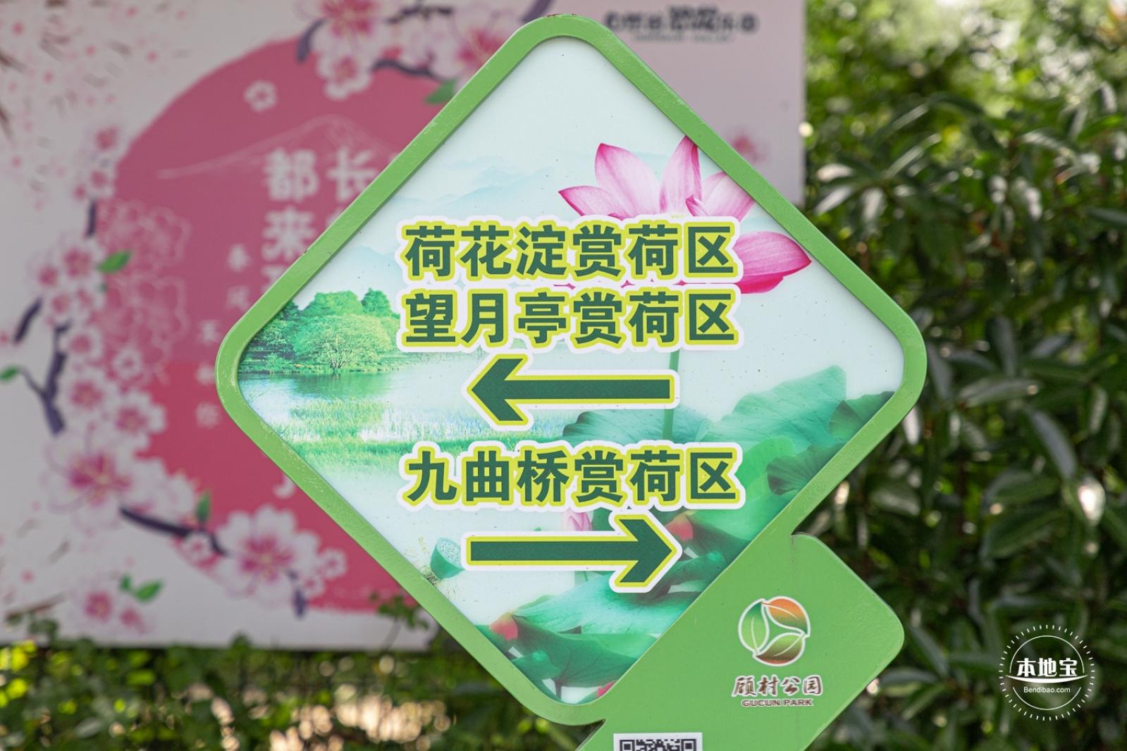 顾村公园