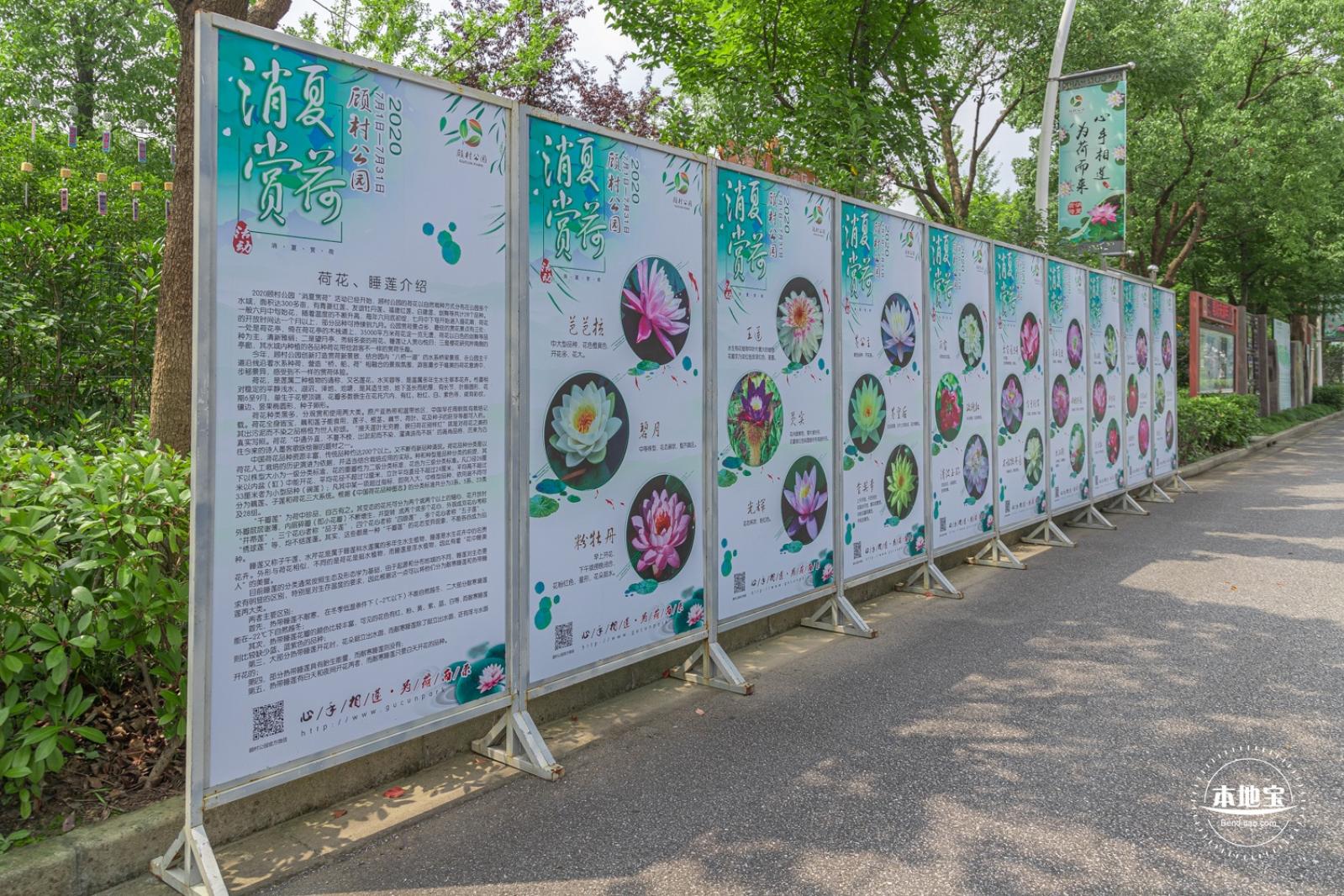 顾村公园
