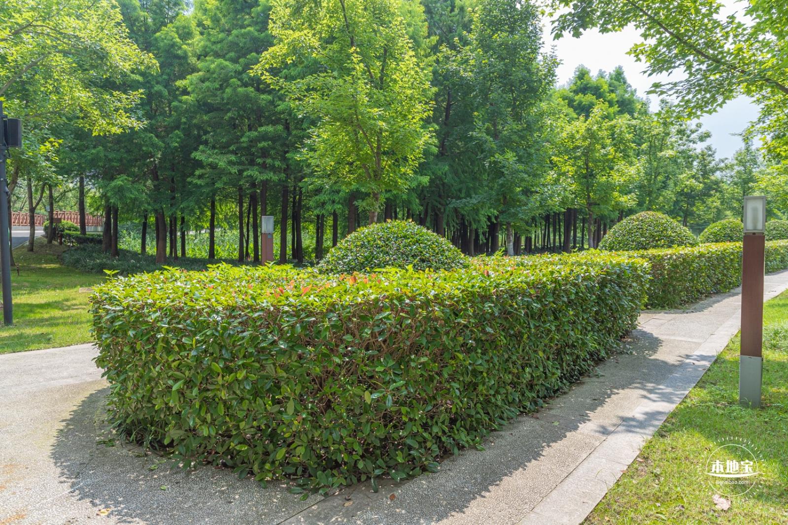 顾村公园
