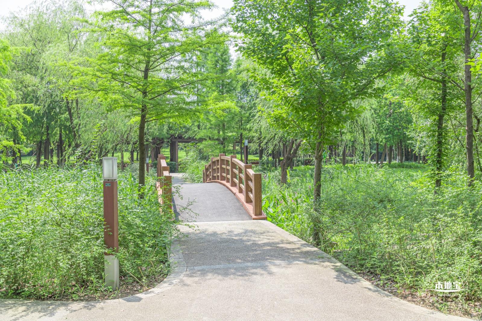 顾村公园