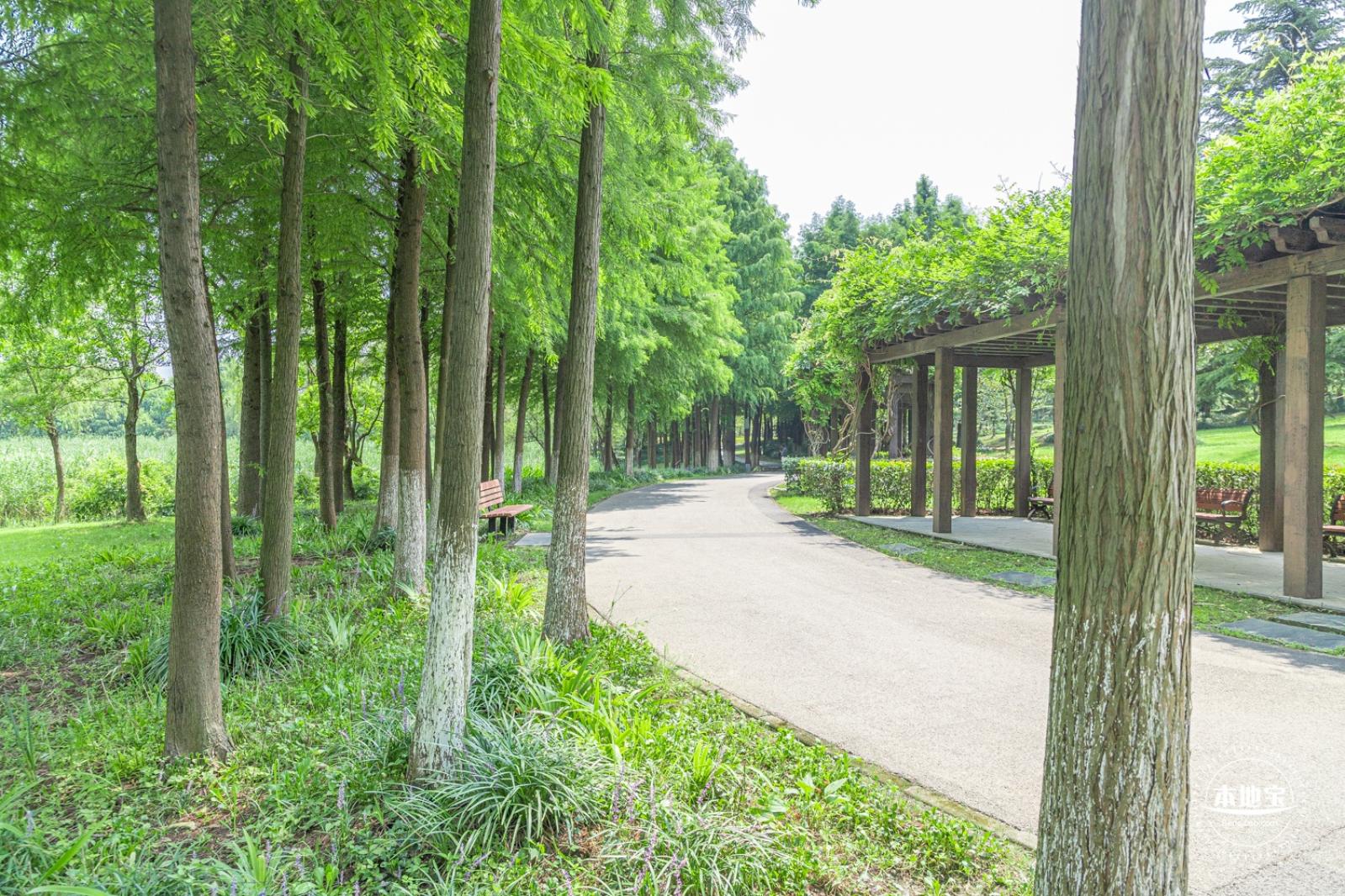 顾村公园