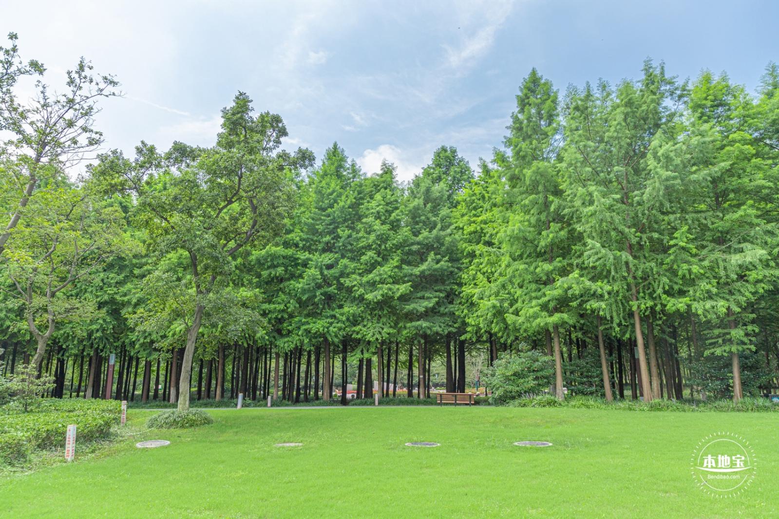 顾村公园