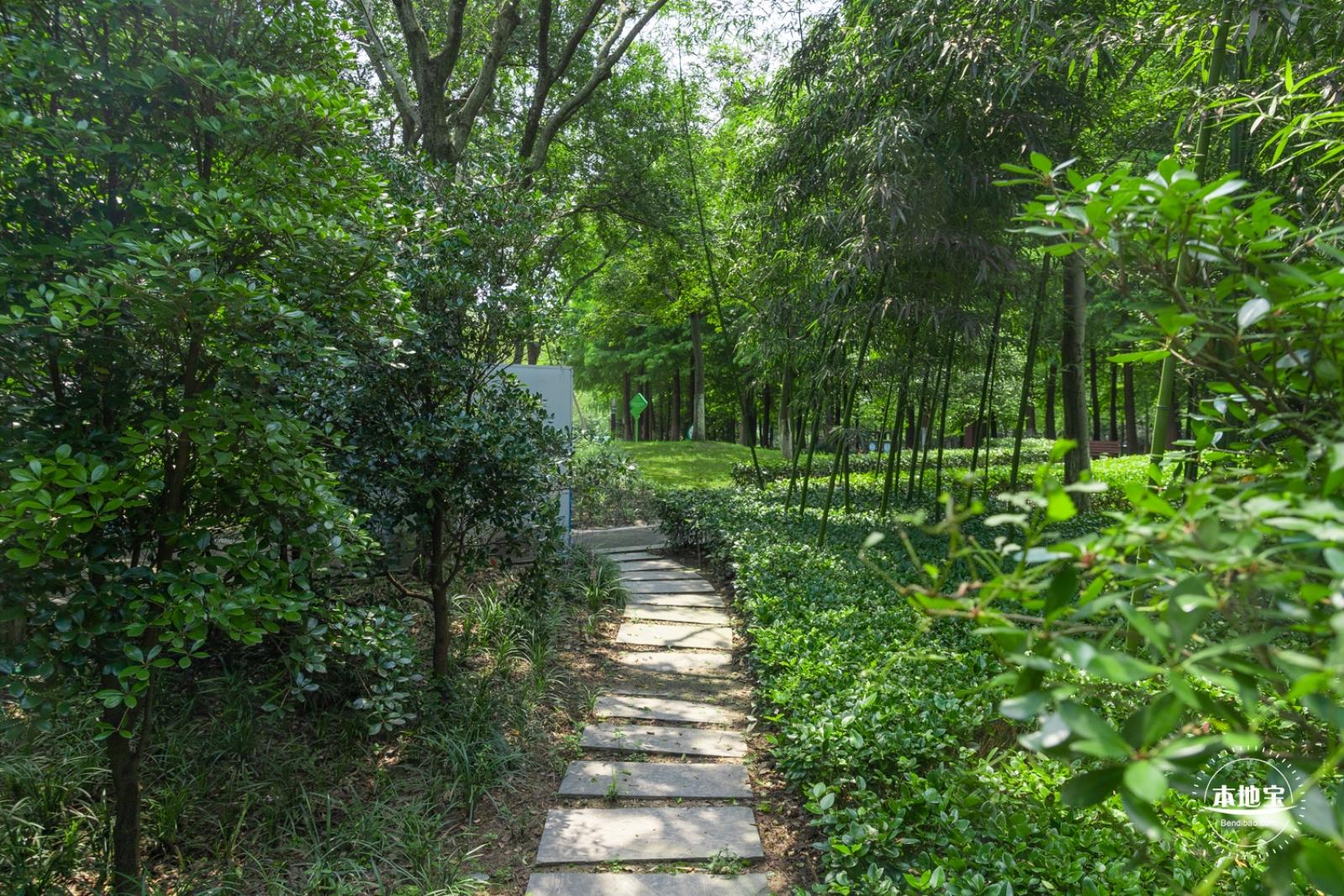 顾村公园