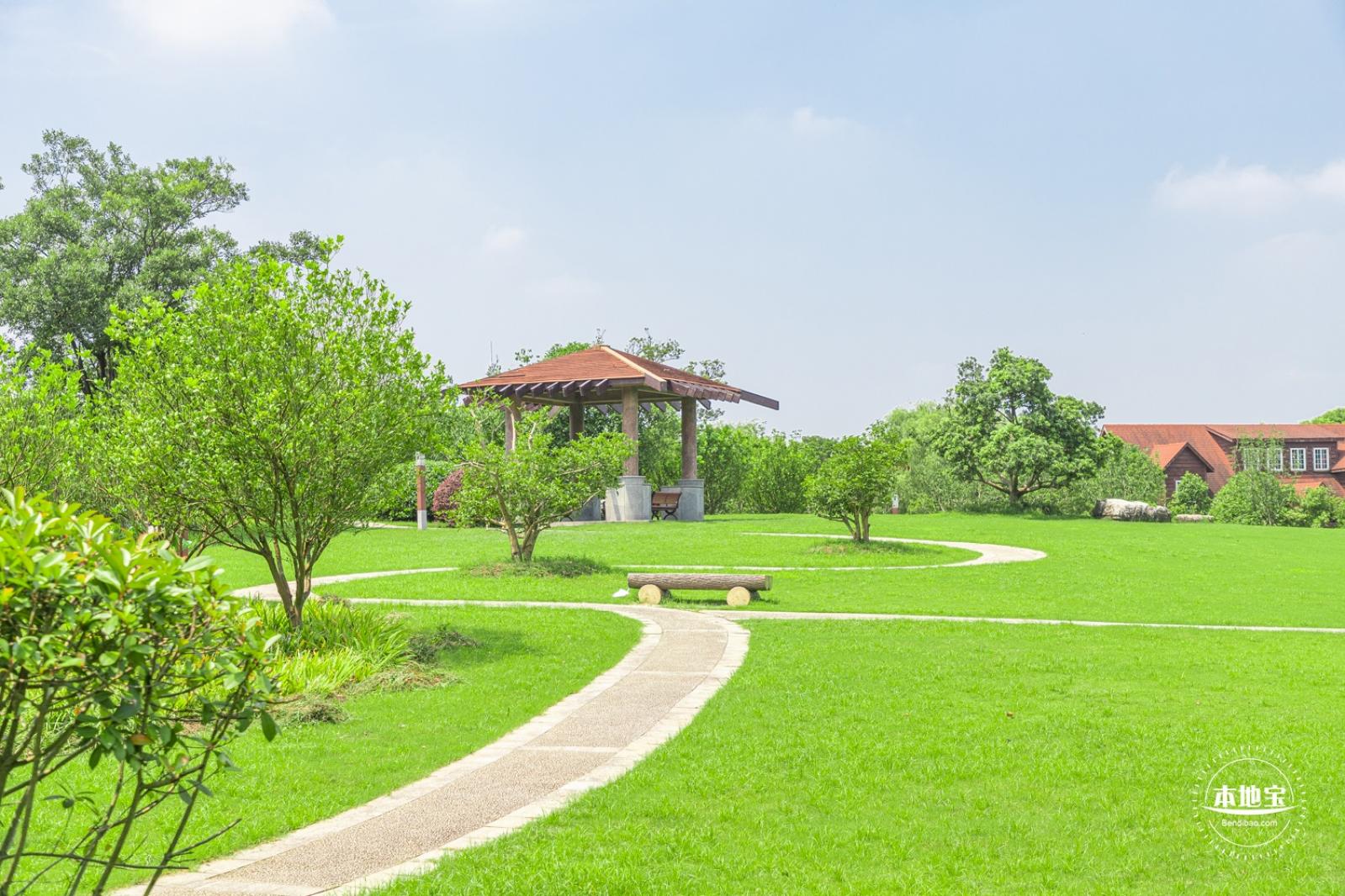 顾村公园