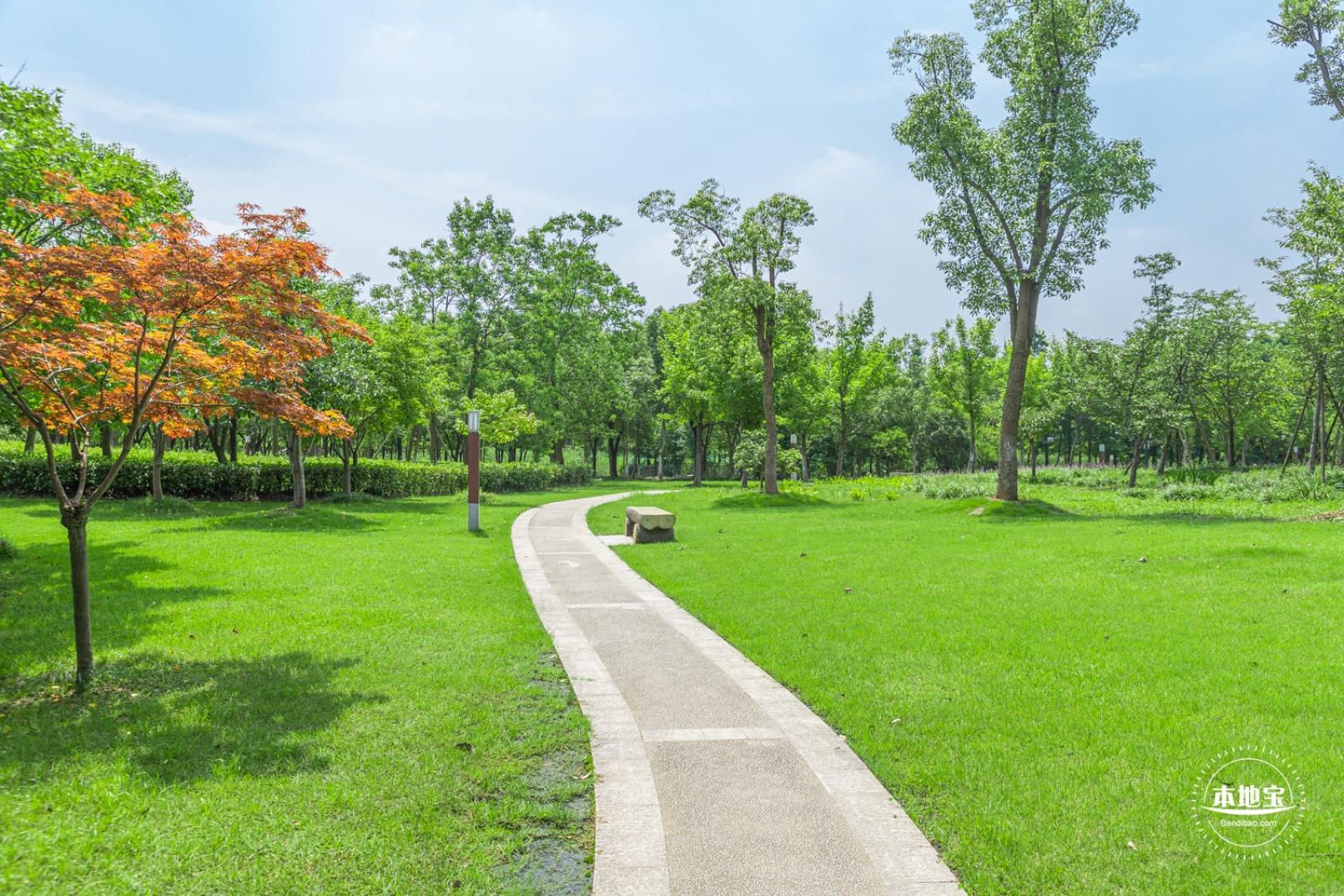 顾村公园