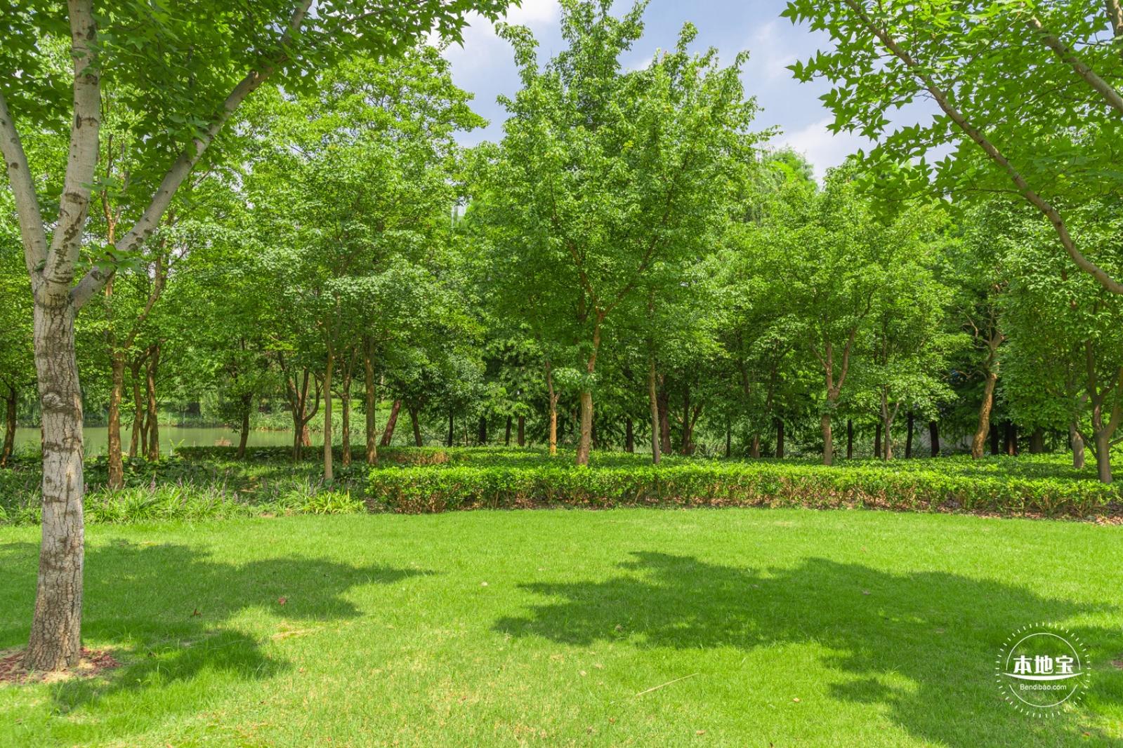 顾村公园