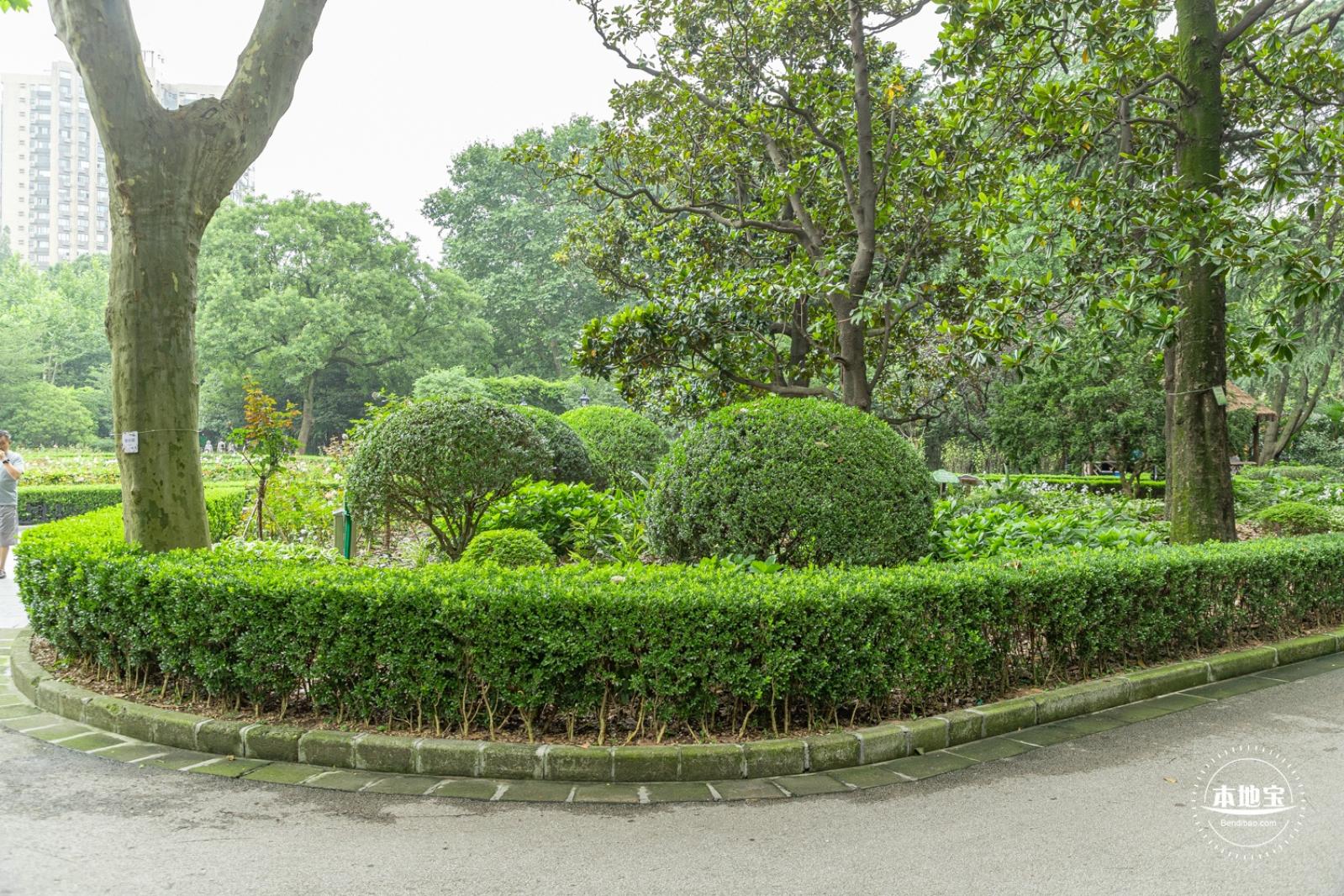 复兴公园