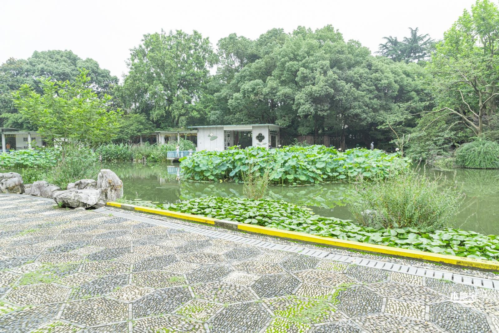 复兴公园
