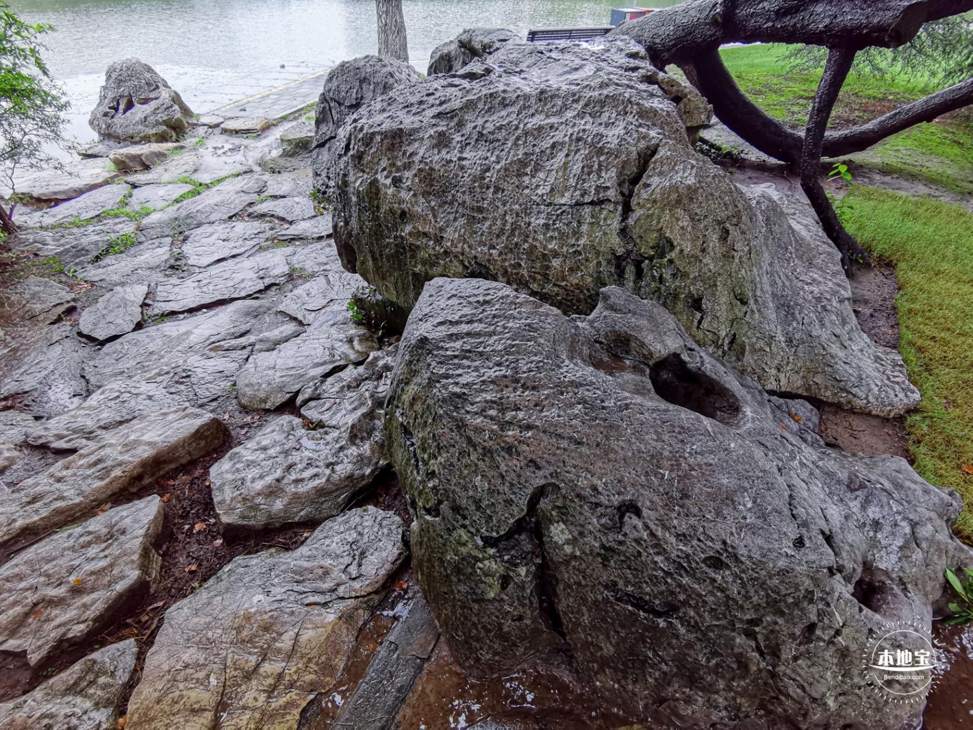 世纪公园