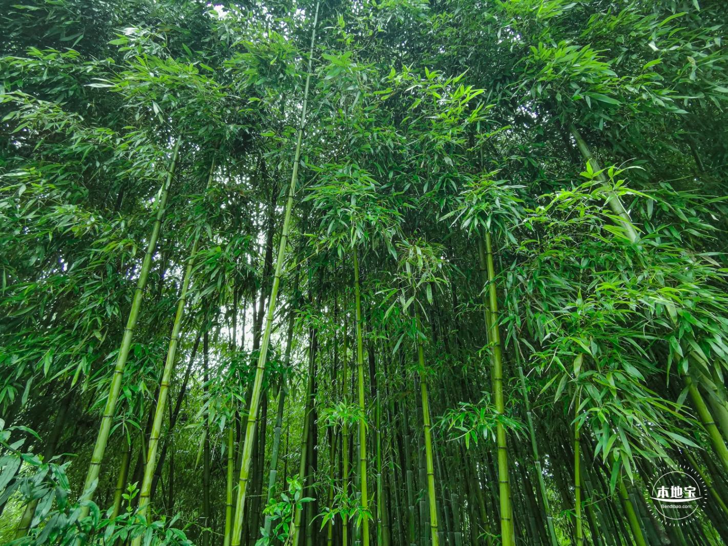 世纪公园
