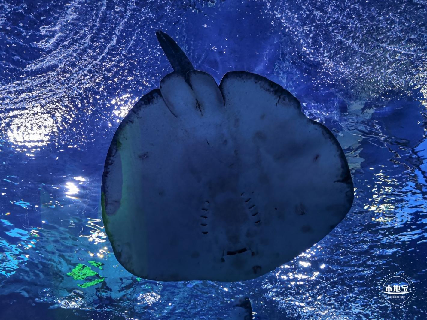 海昌海洋公园