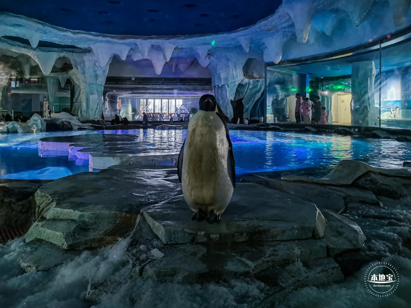 海昌海洋公园
