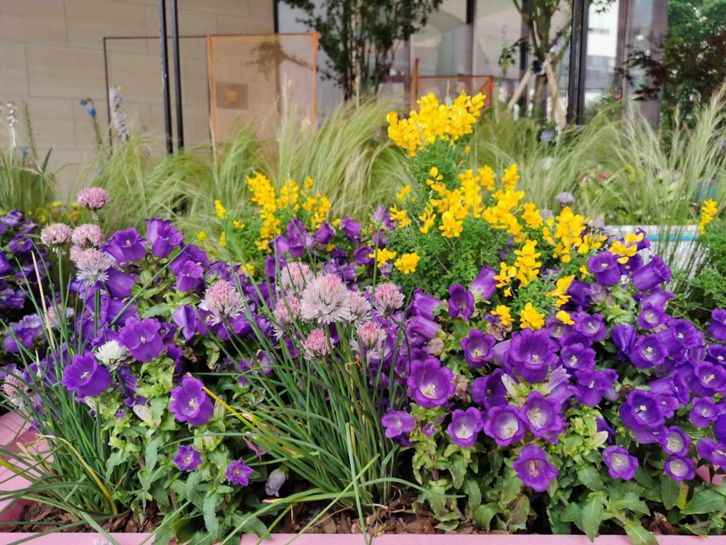 上海花展徐汇分会场