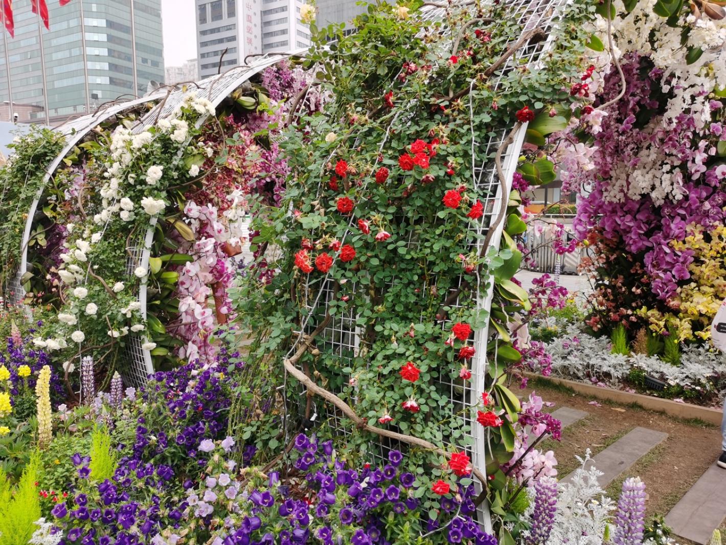 上海花展徐汇分会场