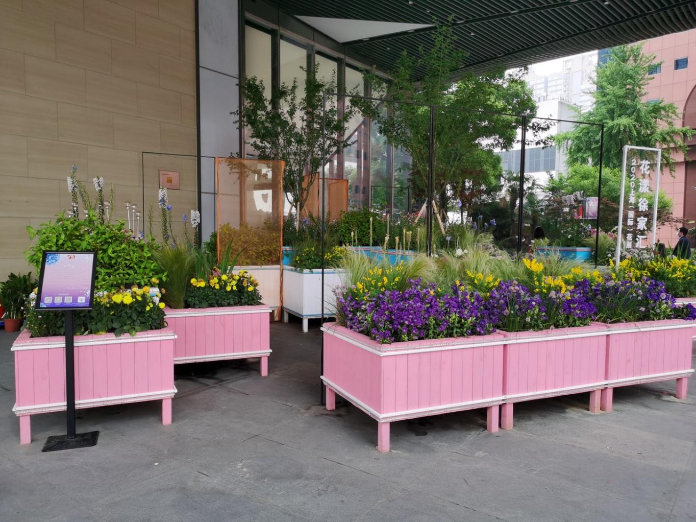上海花展徐汇分会场