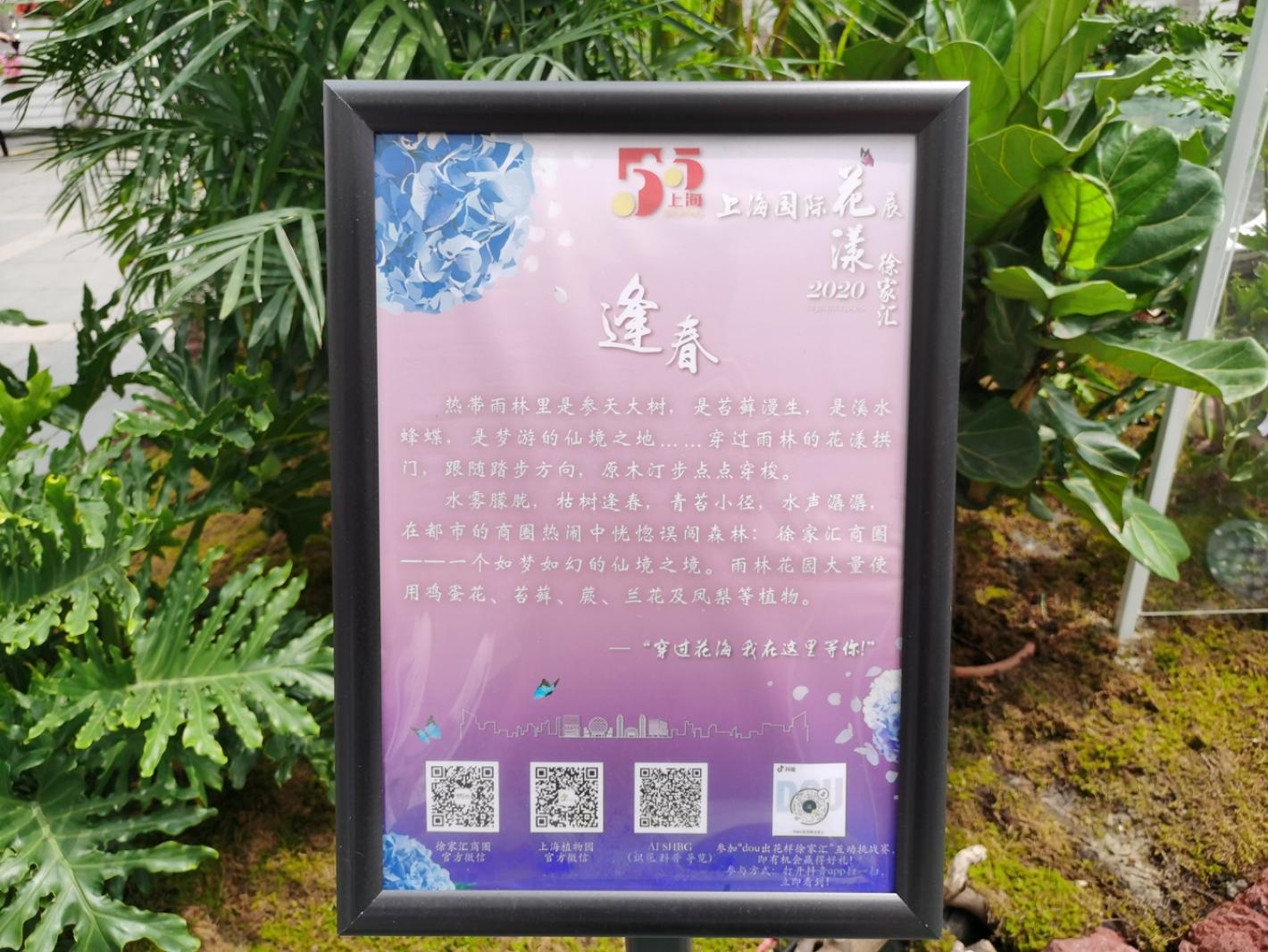 上海花展徐汇分会场