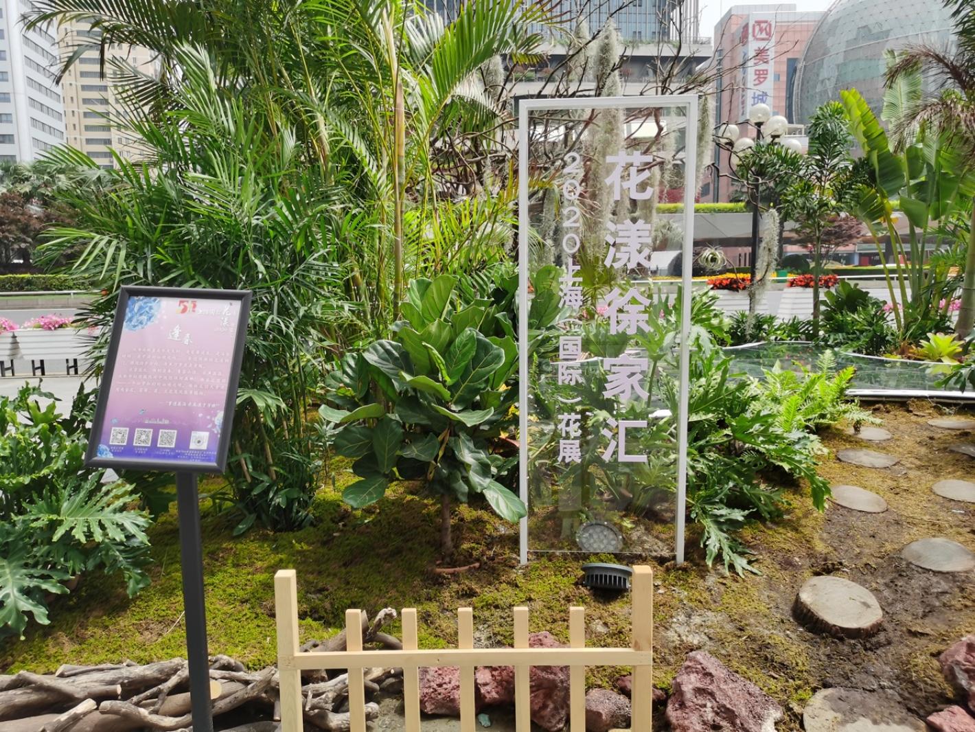 上海花展徐汇分会场