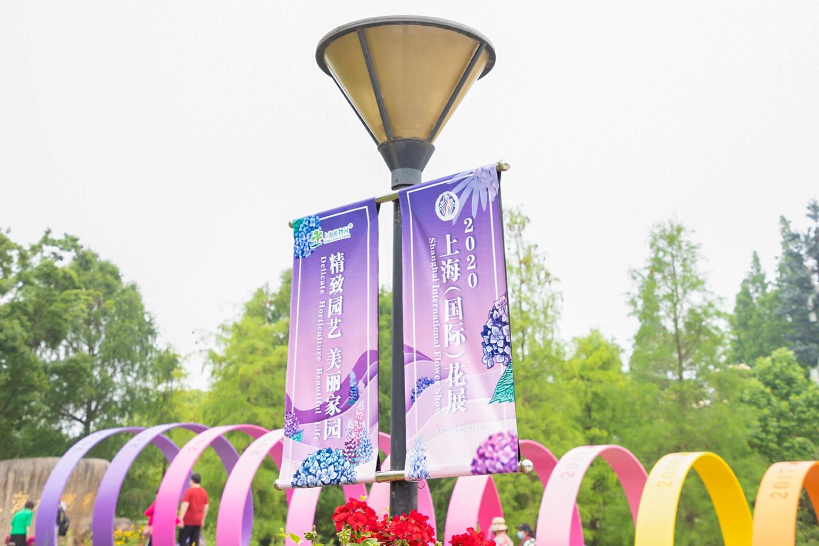 上海花展
