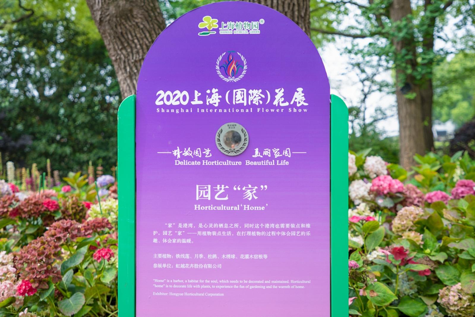 上海花展