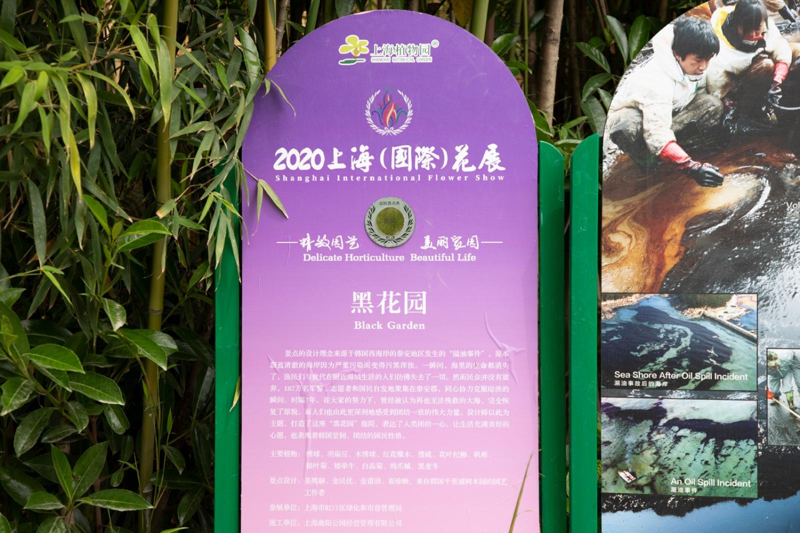 上海花展