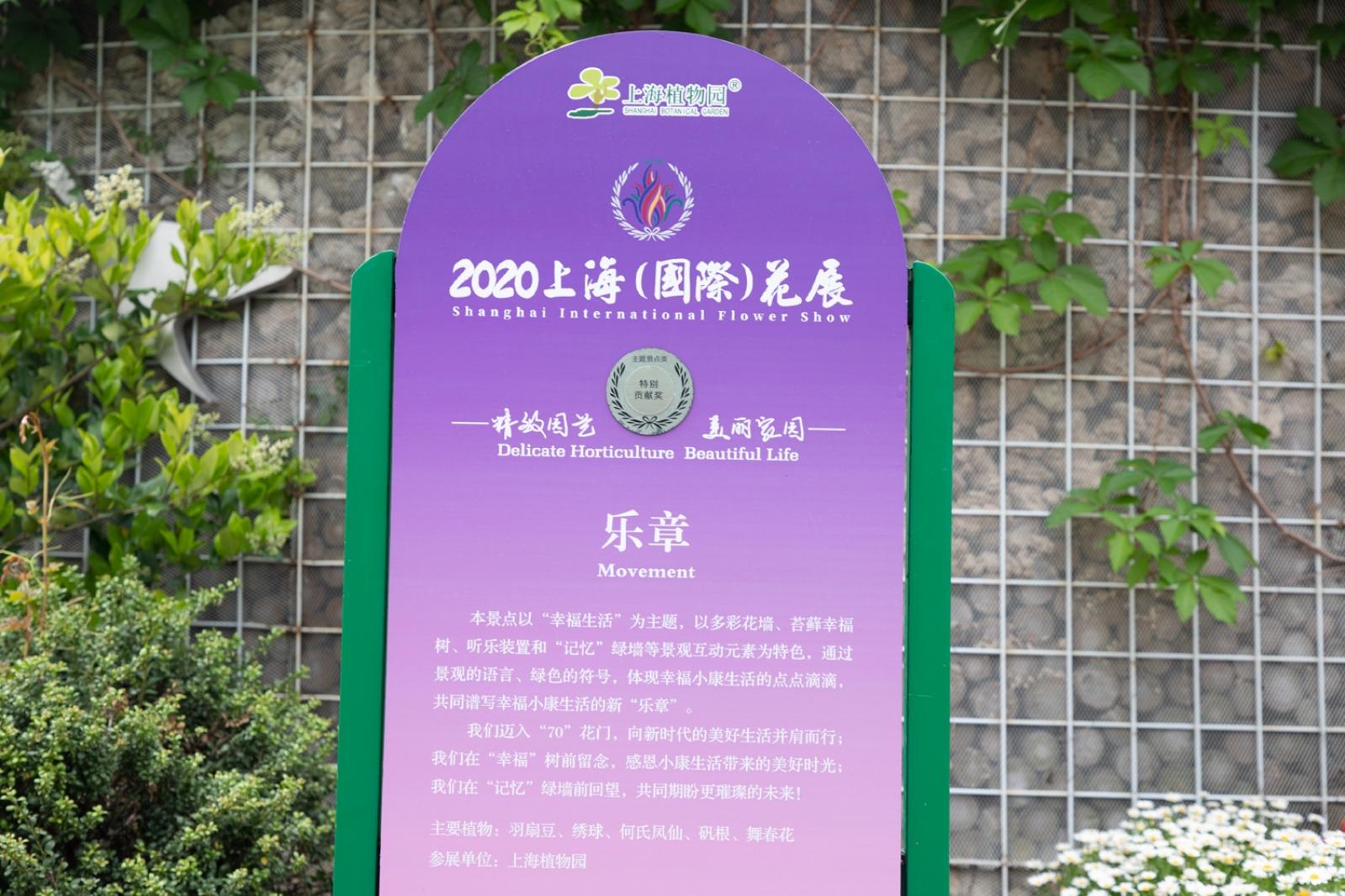 上海花展