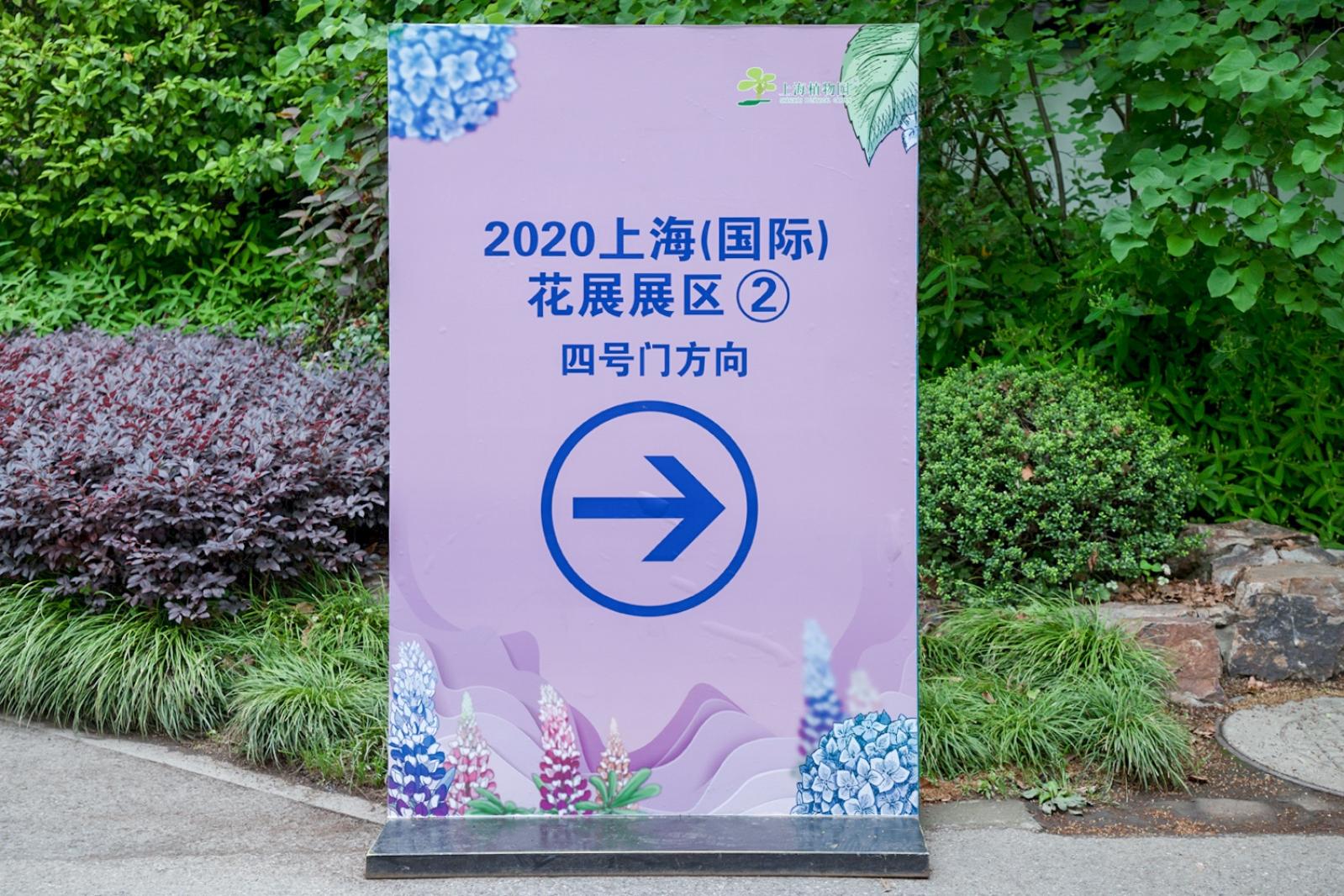 上海花展