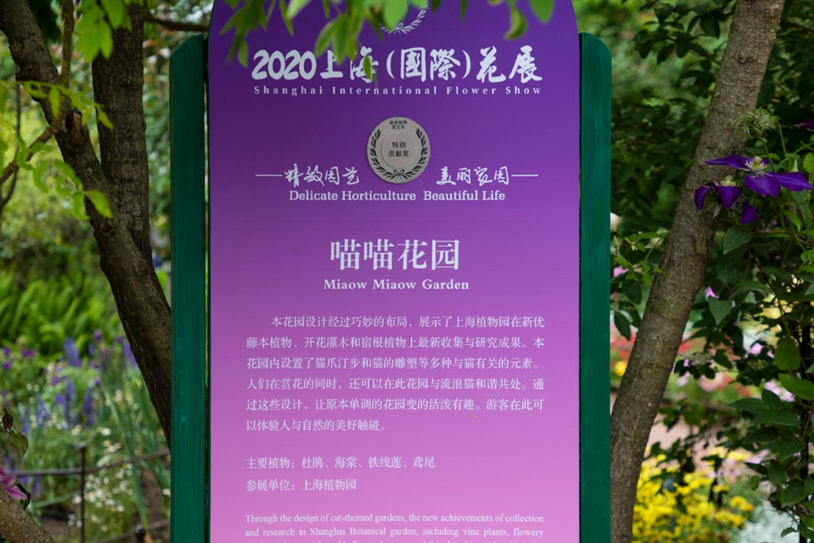 上海花展