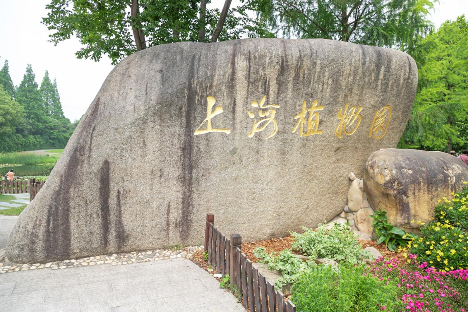 上海花展