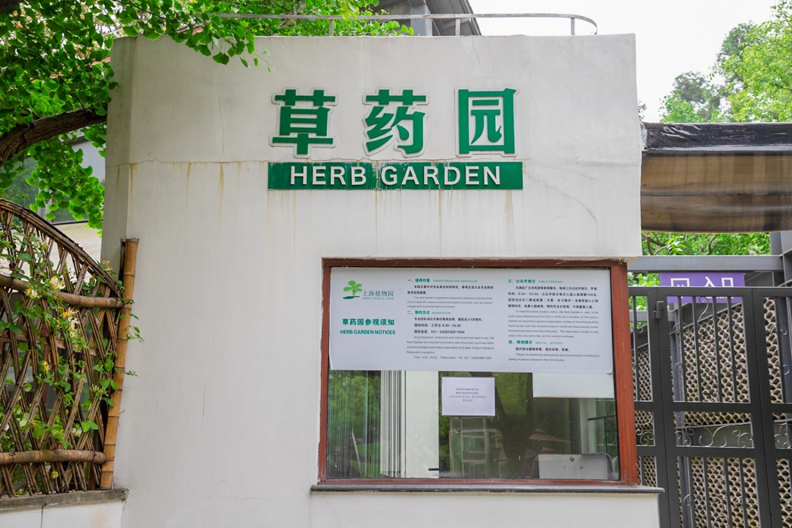 上海花展