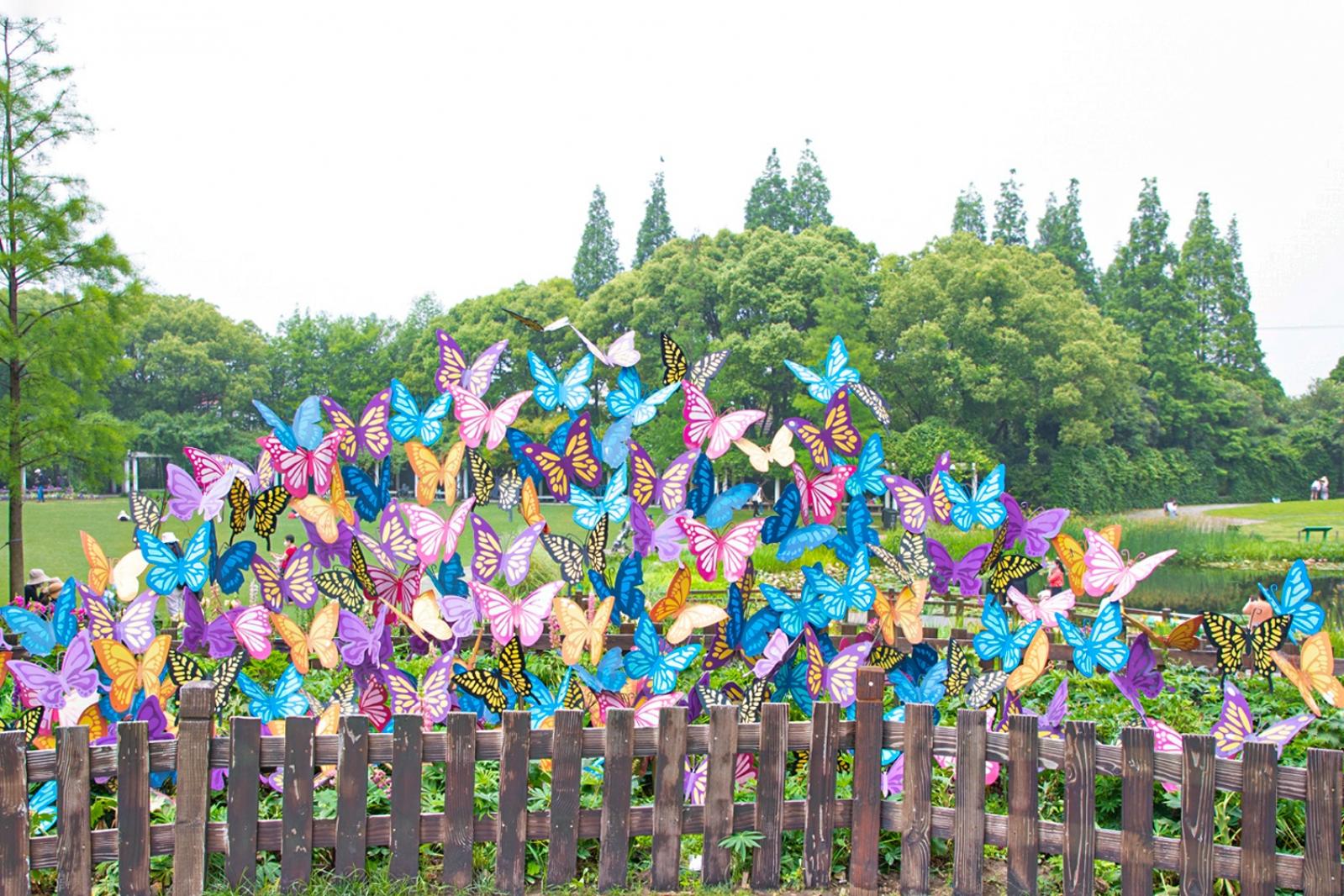 上海花展