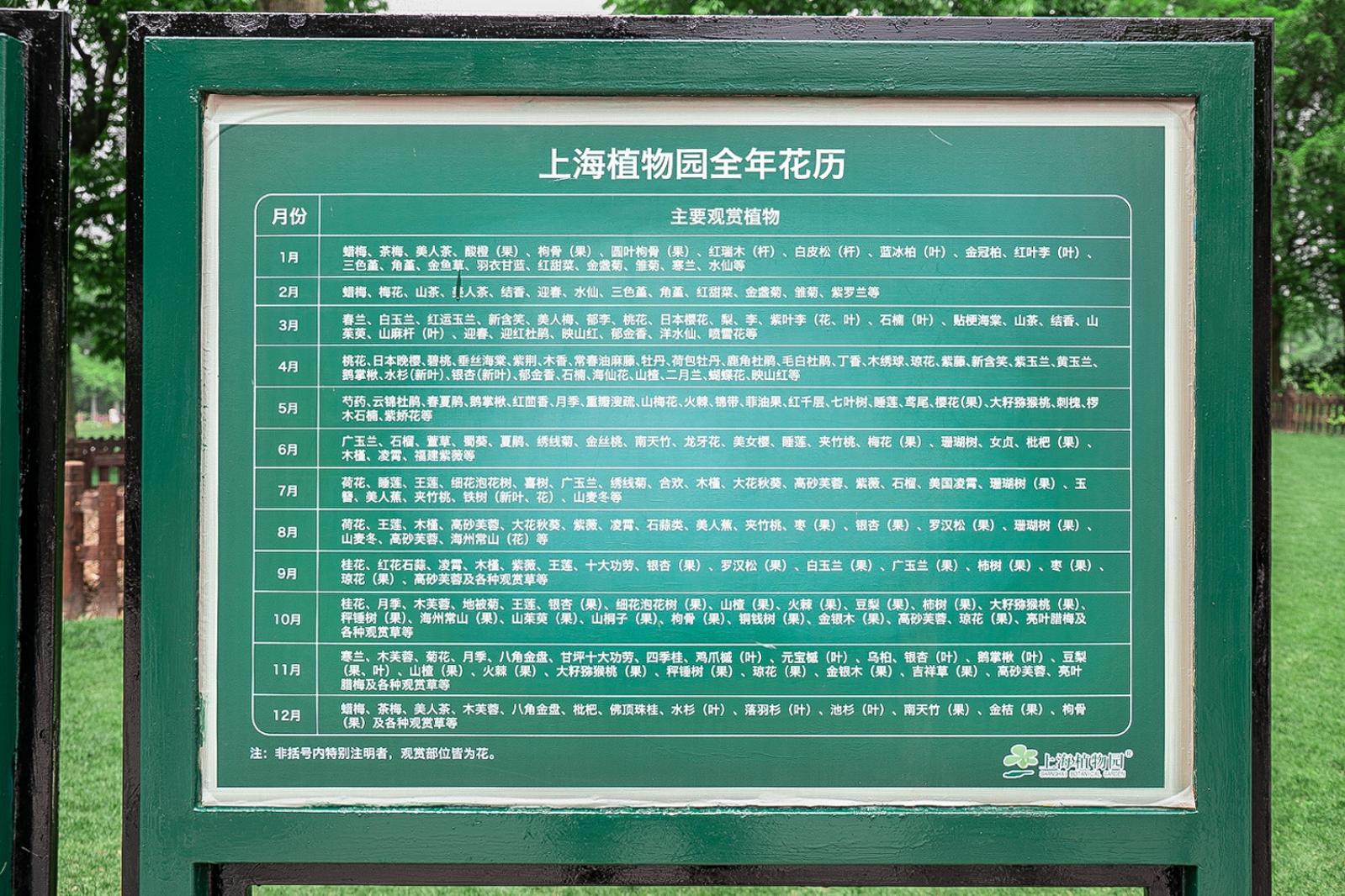上海花展