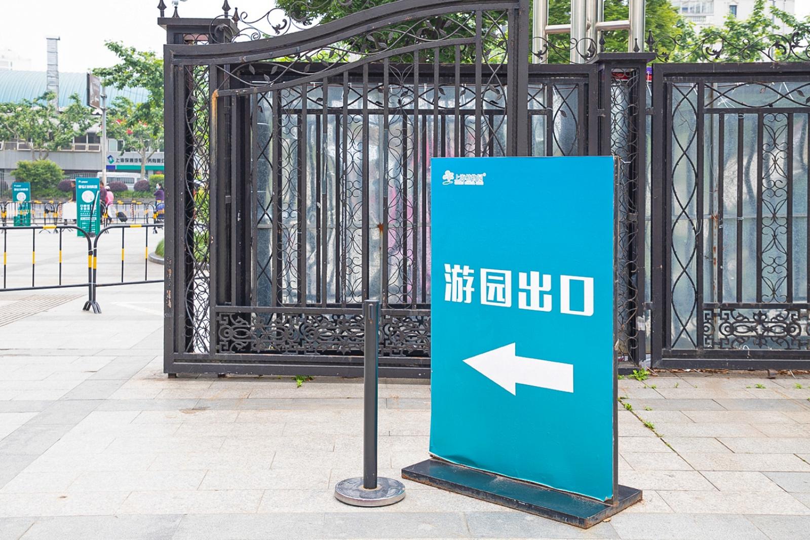 上海花展