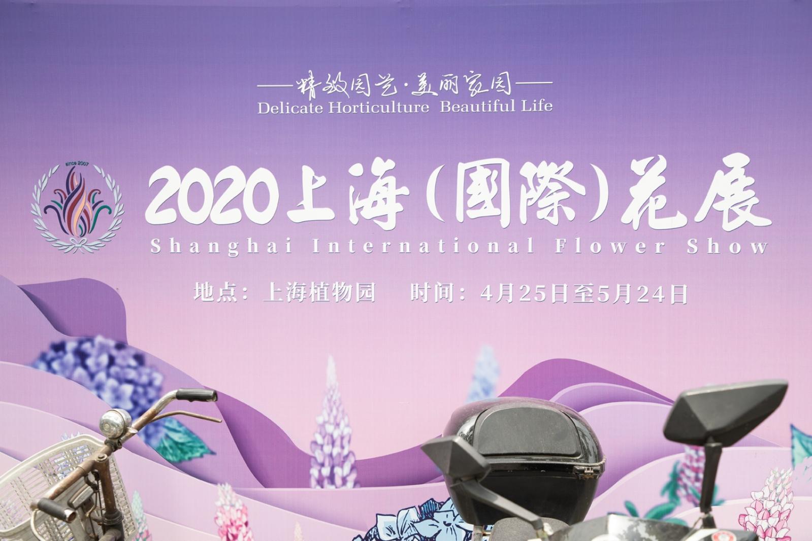 上海花展