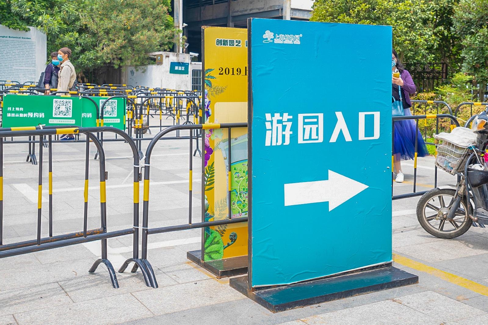 上海花展