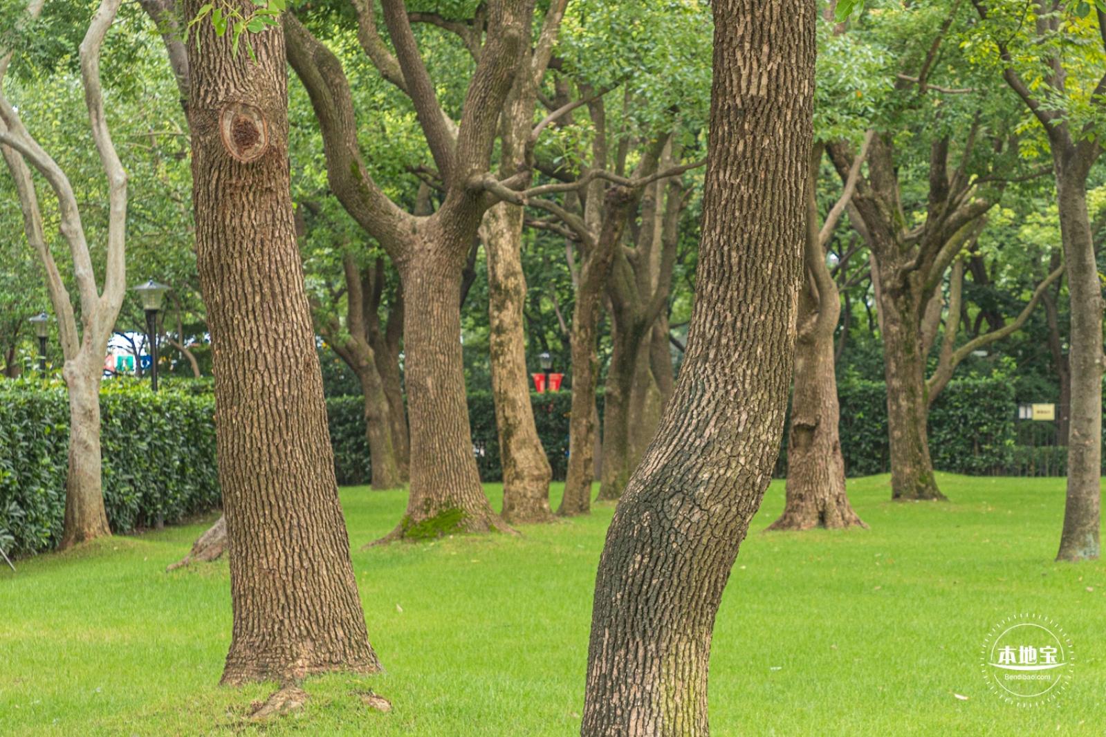 城市草坪音乐广场