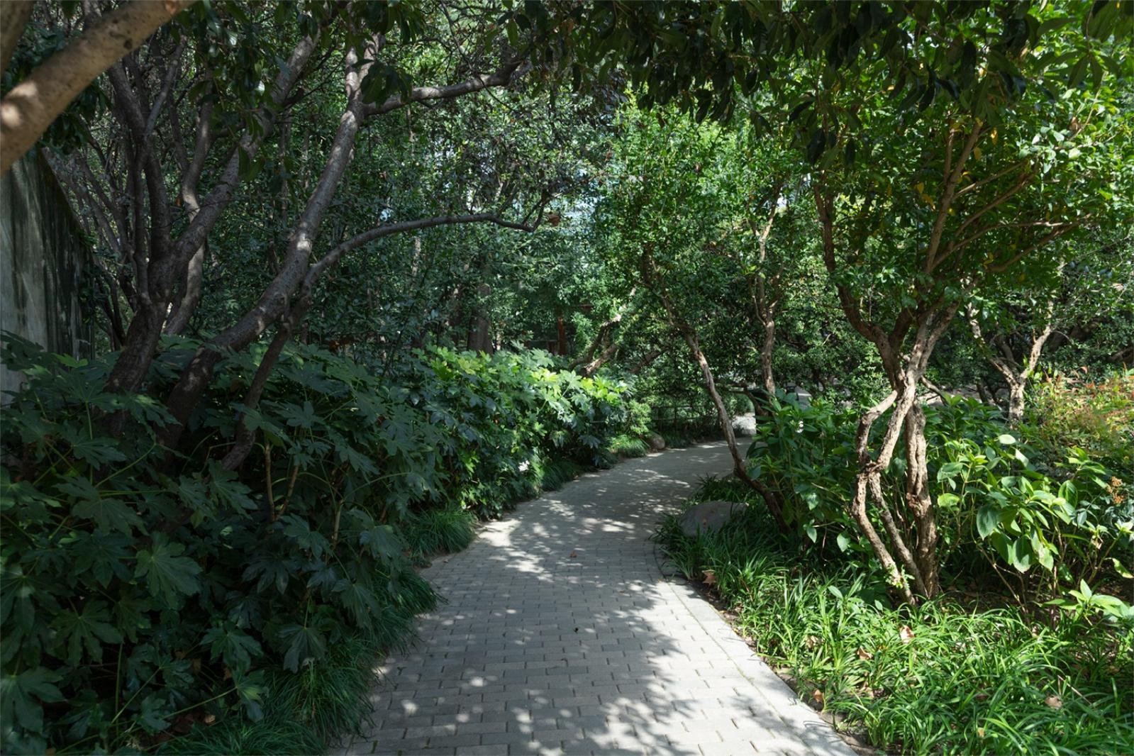 静安公园