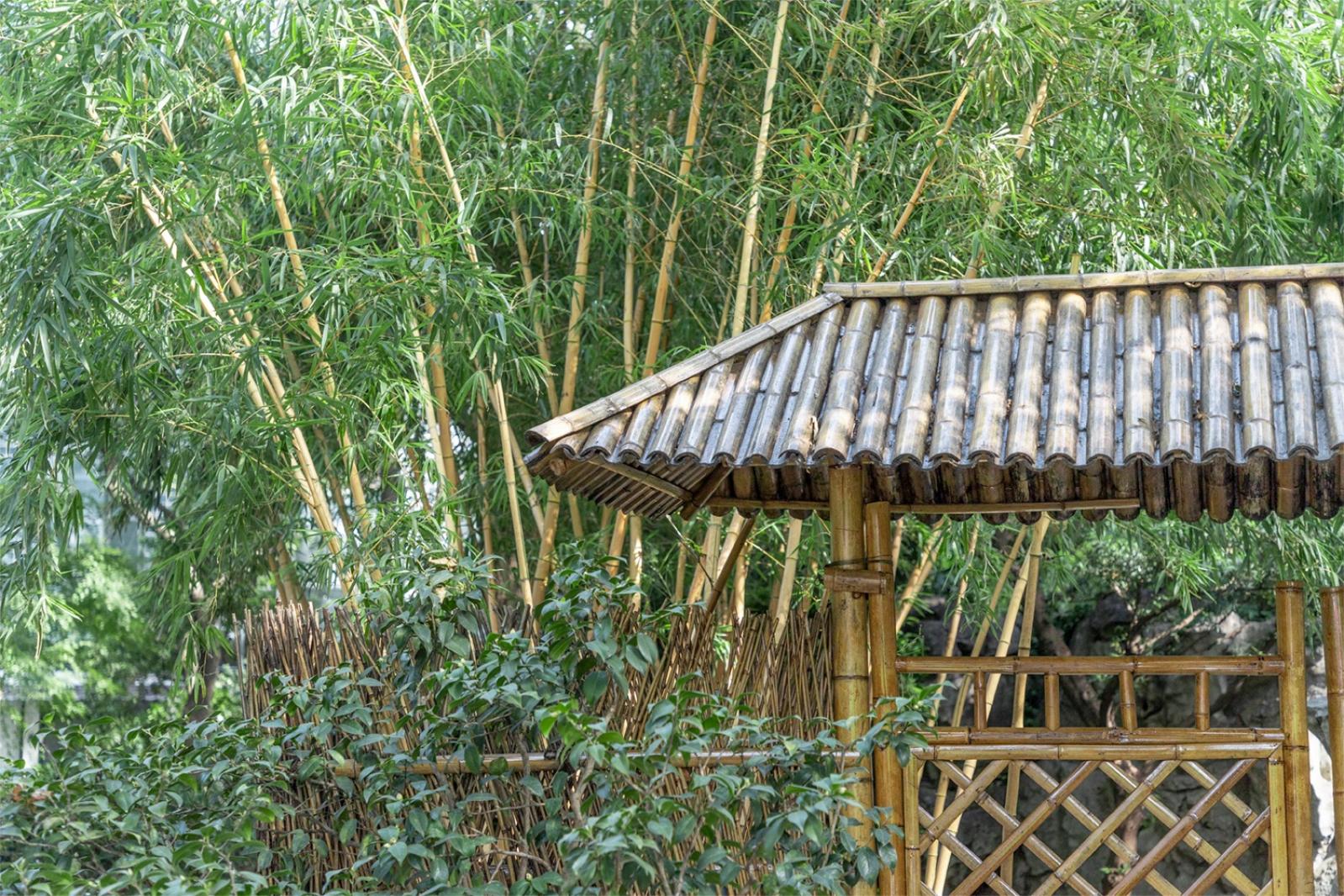 静安公园
